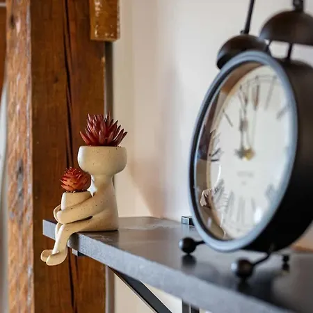 Charming Loft In Prime Location *