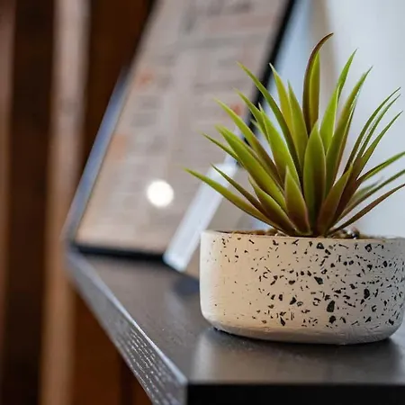 Charming Loft In Prime Location Kassa