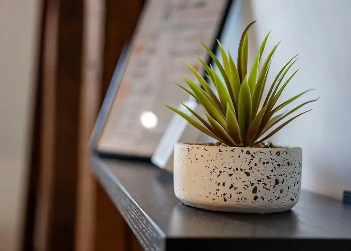 Charming Loft In Prime Location Kassa